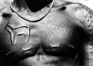 b3cd4d387c3aac762e372a1f97bdc527