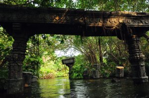 jungle_river_by_avs_avs