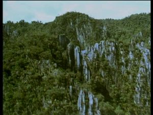 gettyimages-1B02027_0013-640x640