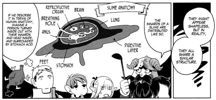 DungeonMeshi Slime Anatomy